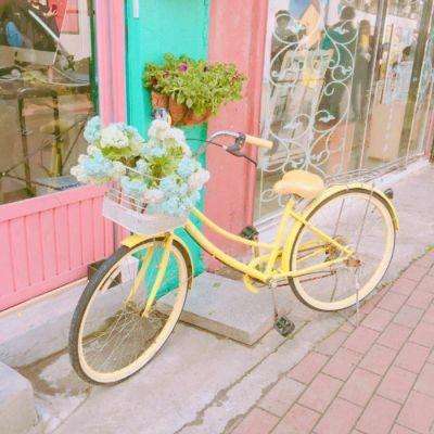 牛牛游戏网手机app下载