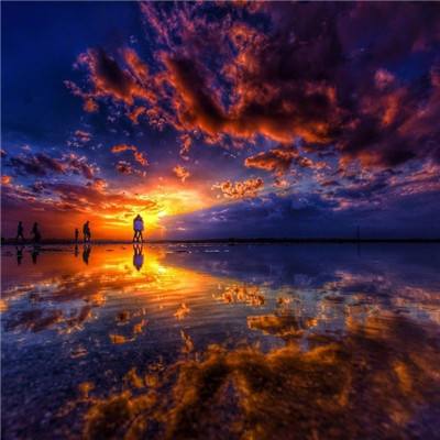 im电竞在线登录